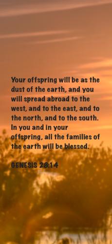 D29A2A96-0E49-4EDB-AE9B-531F90367336