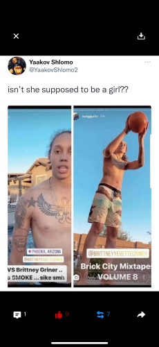 b4961f52-c2df-458f-8271-c7f248217353