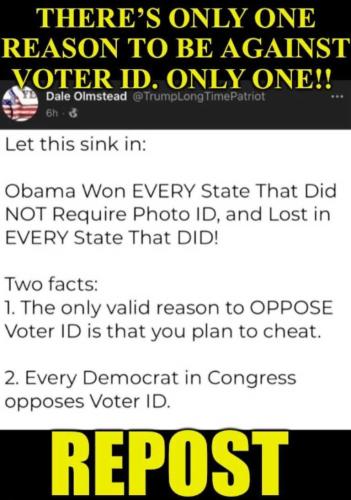 USA voter ID