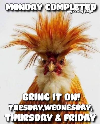 Monday done