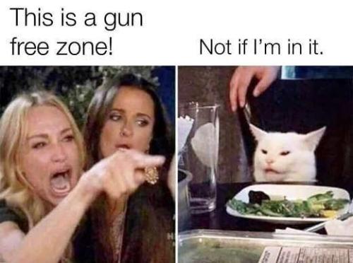 CatLogic8