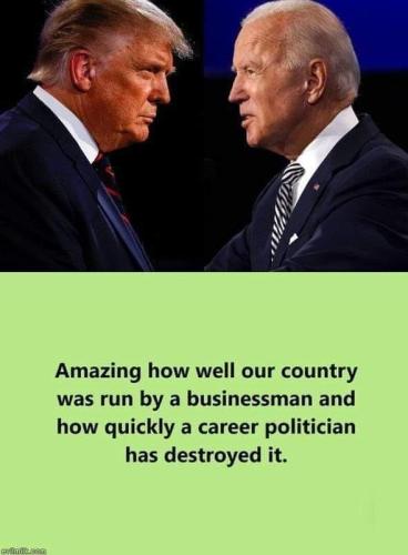 Career Politician