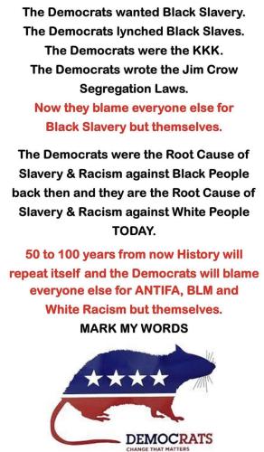 M Democrats