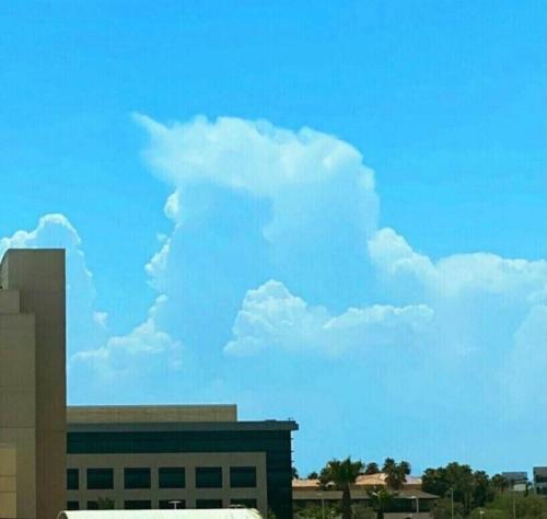 trumpcloud