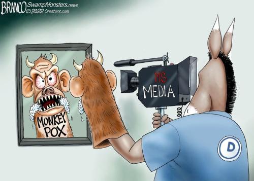 Monkeypox Puppet