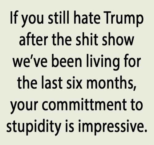Shit Show