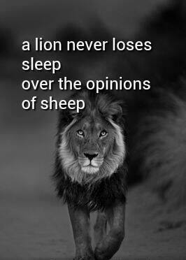 Lion - Never loses sleep over the opinion of sheep
