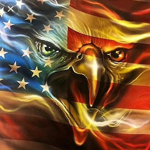 A- Eagle that is piss off