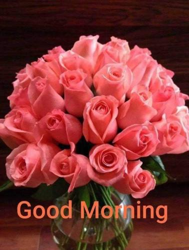 FB_IMG_1658160961638