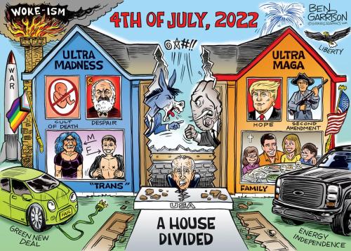 CommonSenseVsLiberalInsanity