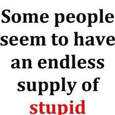Some People seem to have an endless suppy of stupid