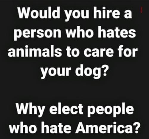 USA would you