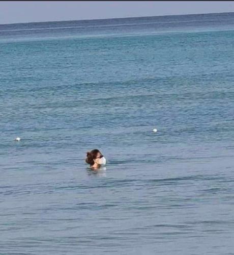 BB0292A0-9CE9-42E7-98CF-D85C224CC0C2