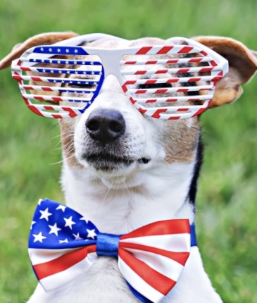 9A4B3B84-2ABC-42CC-94CB-51BB4A6EA2F2