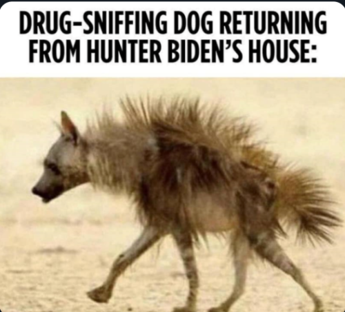 Capture+_2022-07-13-03-21-19(1)