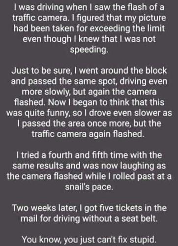 FB_IMG_1659184617340