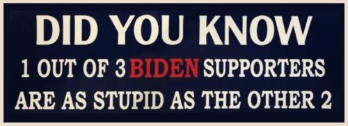 Biden supporters