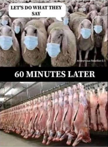 cf580ce0-9c63-4027-83de-5f12ad4d20ca