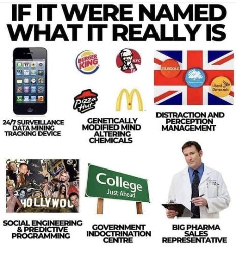 293505752_10160091785444420_7437275072113504759_n