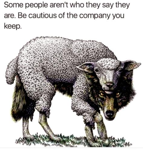 Wolf in Sheeps Clothing