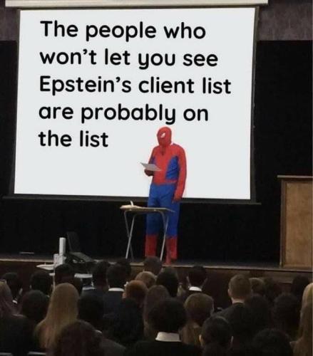 Epsteins witnesses  ( Maga)