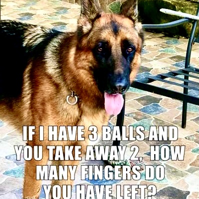 D9F6EA94-4ADB-4B9A-9948-ABC43A4B4C0F