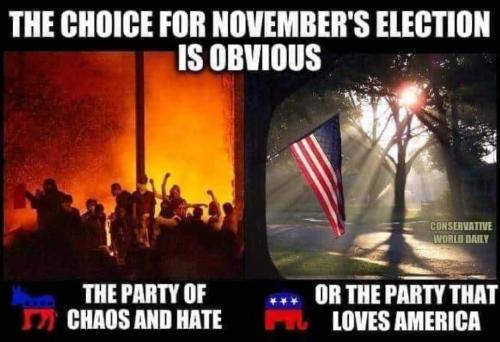USA party choice