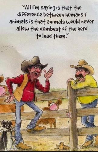 964372cf-c81e-483a-b6f2-cbc6ff8acc01