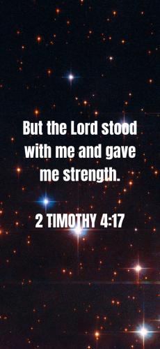 233992EE-338E-45D3-9E09-FE14A68A1FEB