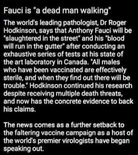 Fauci DMW