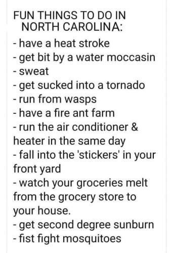 FB_IMG_1658978538173