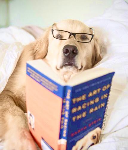 0C67ED31-531A-466F-ACD3-6669DF4001F4