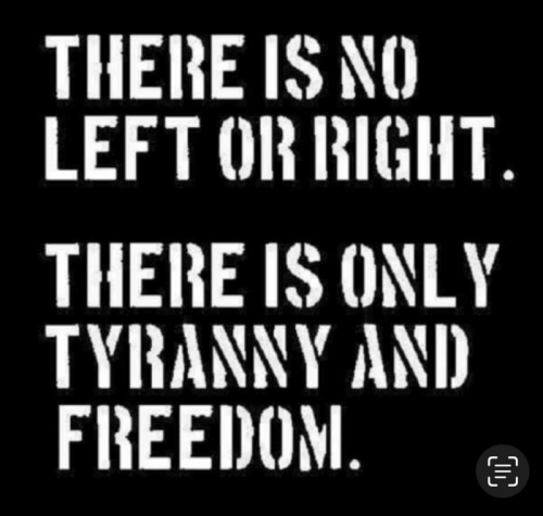 img - 2022-07-31T144152.377