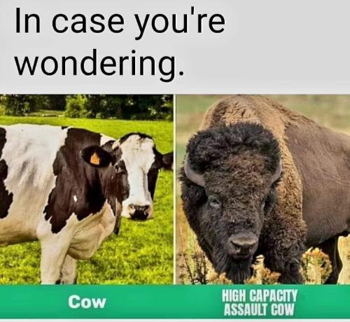Assault Cow
