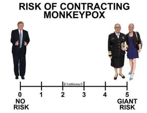 monkey pox risk    (xeph)