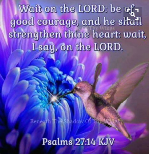 75b86970c1109a796bb6a89faa52737b