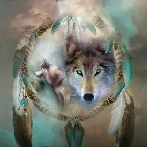 FB_IMG_1440940555813