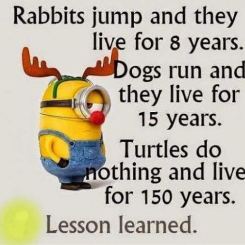 295442126_4713662361999286_2575203797963815901_n