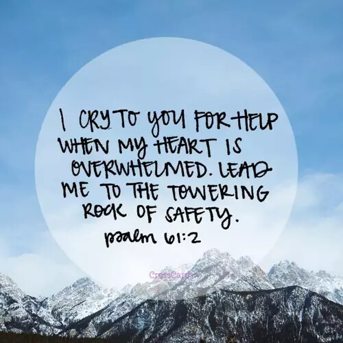 38331-212_cc.1100w.tn