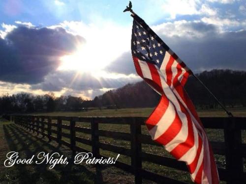 Good Night 49