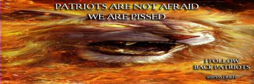1-1-A-LION-GOLDEN-FIRE-EYES-PISSED-HEADER