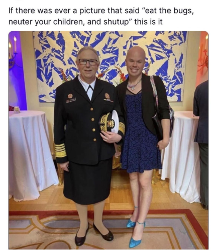 USA eat the bugs