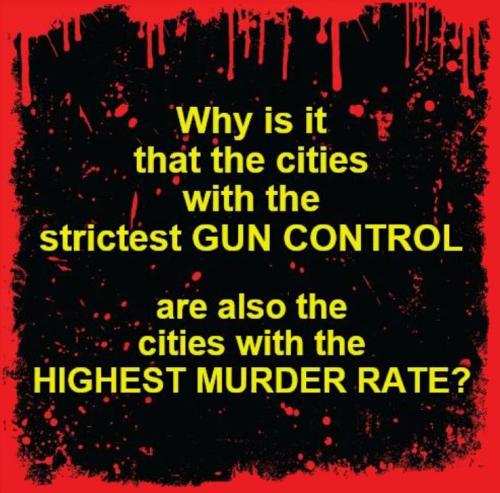 USA gun control