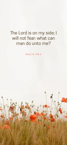 E5B8CBB5-0C4A-48DA-8A5F-E973FA32E8E8