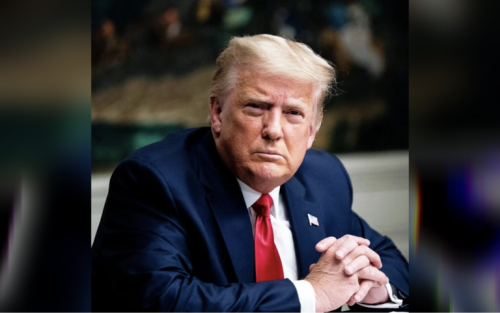 Trump the President