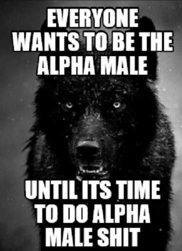 A-00 -