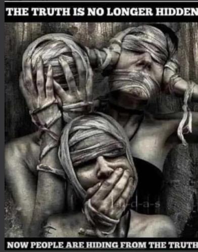 54d72953-fc62-4a06-9910-309e1a1a2306