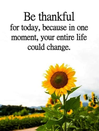 293767892_10224916337287142_2938202301904022208_n