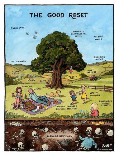 IMG_20220728_075741_551