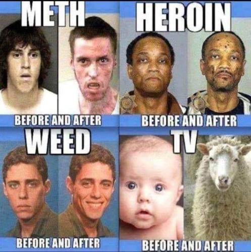 293060556_10228591849167203_5259939434007110314_n